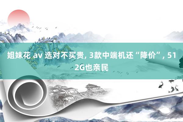 姐妹花 av 选对不买贵， 3款中端机还“降价”， 512G也亲民