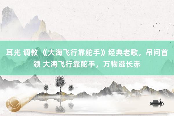 耳光 调教 《大海飞行靠舵手》经典老歌，吊问首领 大海飞行靠舵手，万物滋长赤