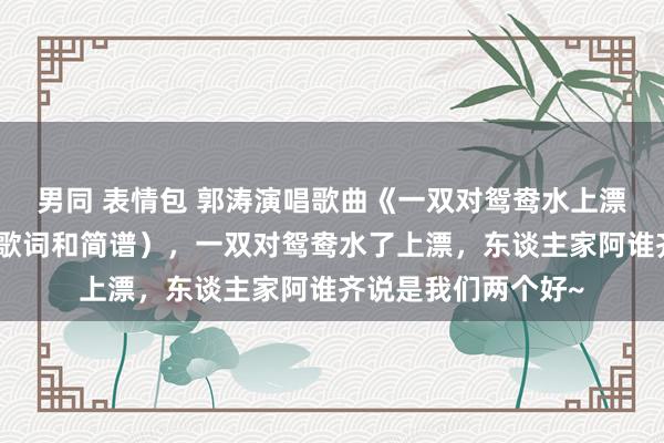 男同 表情包 郭涛演唱歌曲《一双对鸳鸯水上漂》好意思满版（附歌词和简谱），一双对鸳鸯水了上漂，东谈主家阿谁齐说是我们两个好~